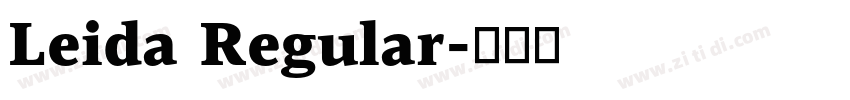 Leida Regular字体转换
